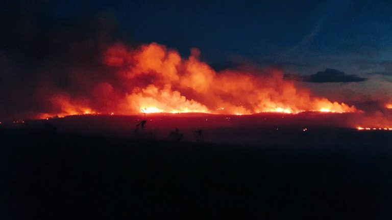 Medios aéreos y la UME combaten un incendio sin control en Lober de Alister (Zamora)