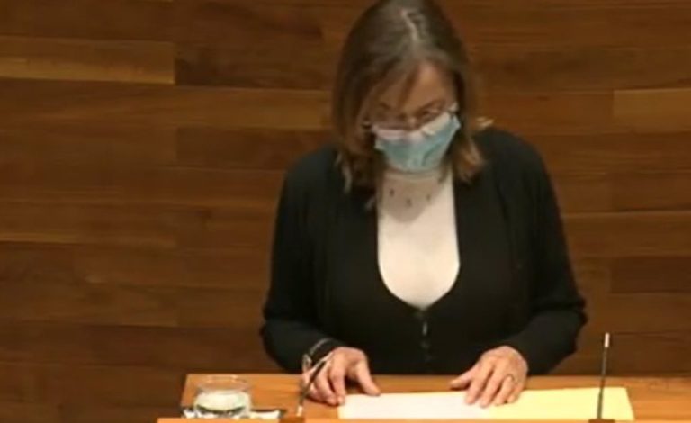 Vallina (IU) pide a Barbón «más vehemencia para defender los intereses de Asturias»