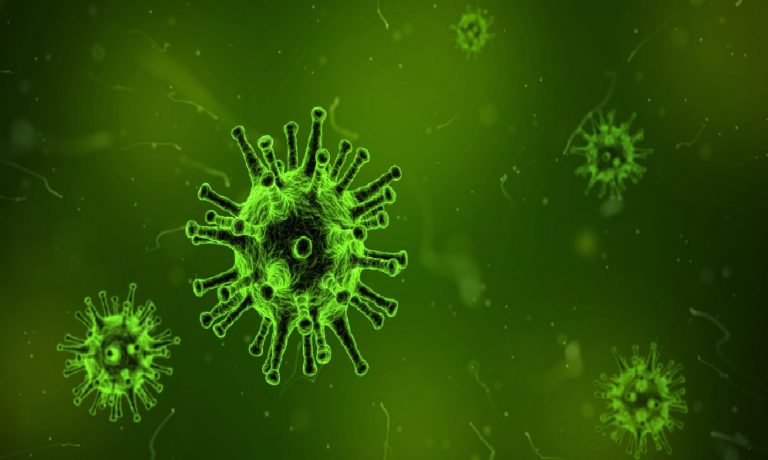 Qué pueden hacer las farmacéuticas para evitar ciberataques 