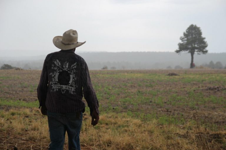 Pobreza, despojo y éxodo. Problemas históricos de campesinos e indígenas en México – Resonancias