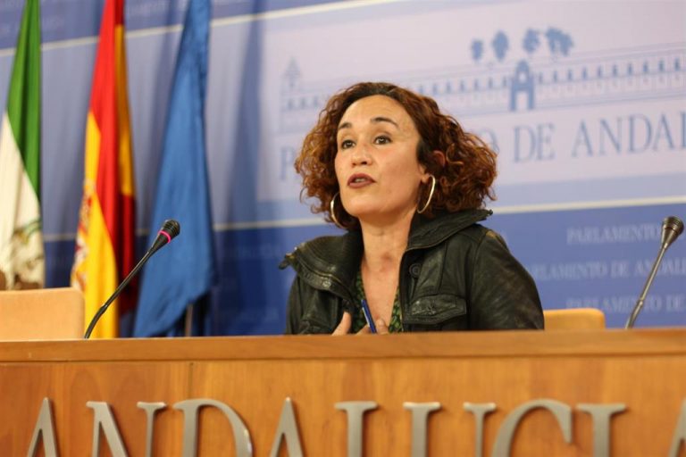 IU pide a la Junta que «respete y deje de maltratar» a la educación pública en la planificación del próximo curso