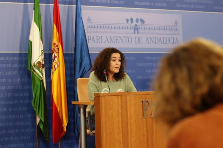 Nieto (IU) cree que «actos» como el de Abascal en Sevilla que ponen «en riesgo» a personas «no debieran permitirse»