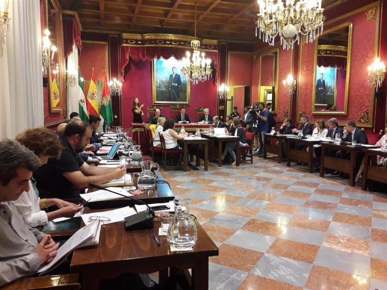 PSOE y Podemos-IU abandonan el Pleno de Granada tras una intervención de Vox que «equipara» al Gobierno con ETA