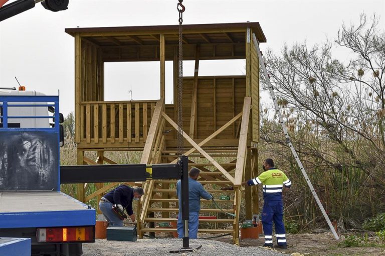 Los Palacios (Sevilla) instala nuevos observatorios de aves en los humedales del Cerro de las Cigüeñas y El Pantano