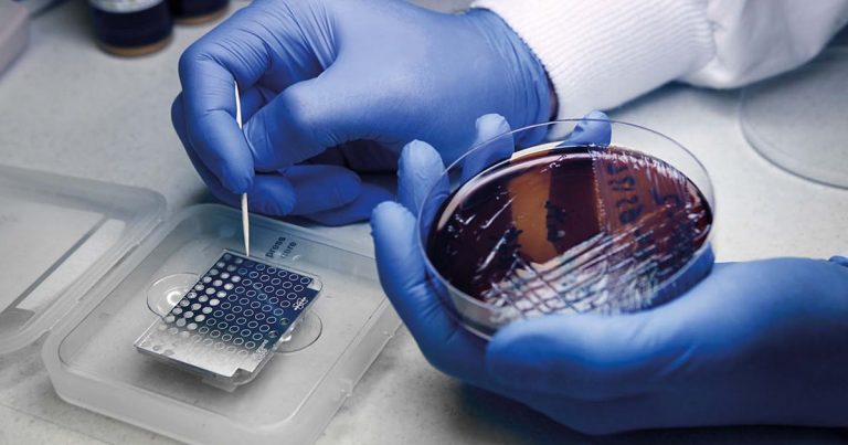 En guerra contra las superbacterias