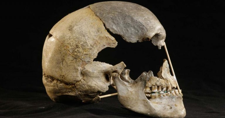 Identifican el genoma más antiguo de la especie humana