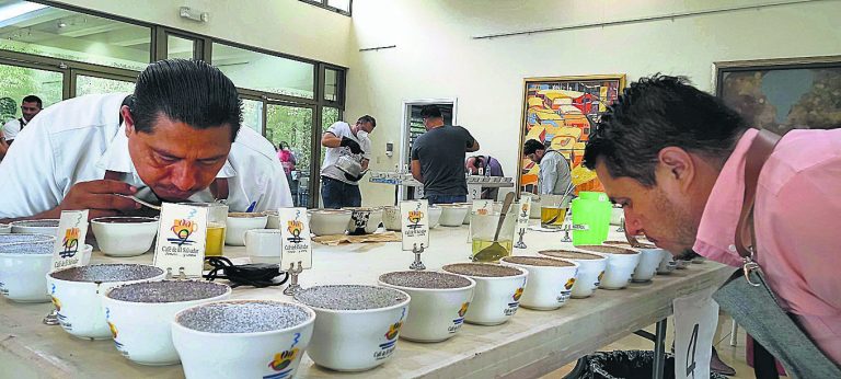 Café de Santa Ana lidera en Taza de Excelencia 2021