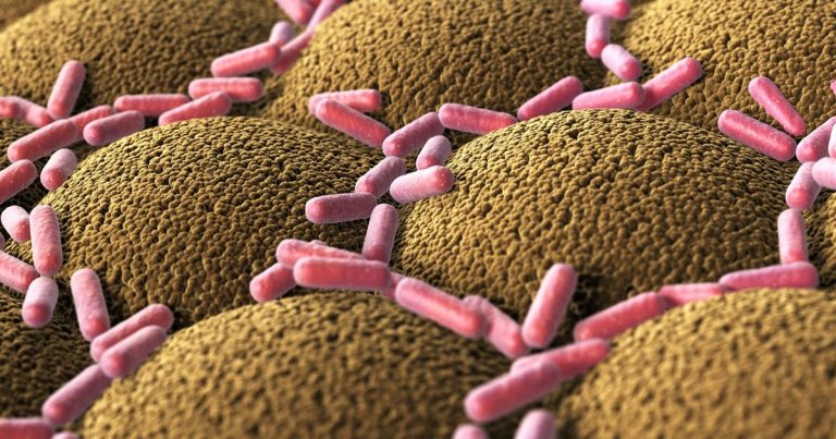 Antiguos excrementos humanos desvelan una extinción masiva de bacterias intestinales