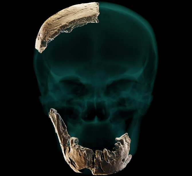 Los misteriosos homínidos arcaicos de Israel evolutivamente emparentados con los neandertales