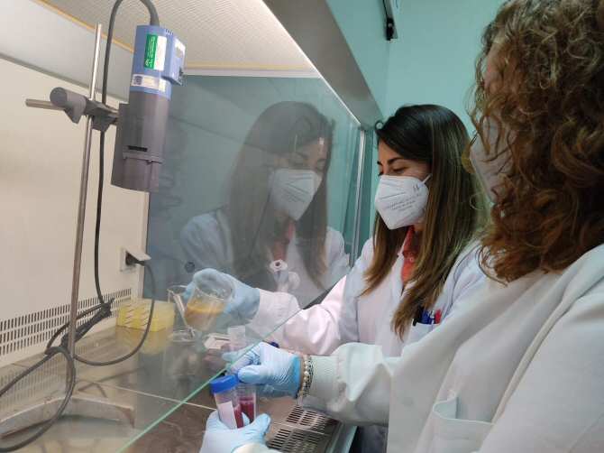 Identifican los compuestos beneficiosos de la frambuesa que actúan en el colon