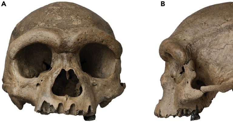El hallazgo de nuevas especies del género Homo en Israel y en China obliga a replantear la evolución humana