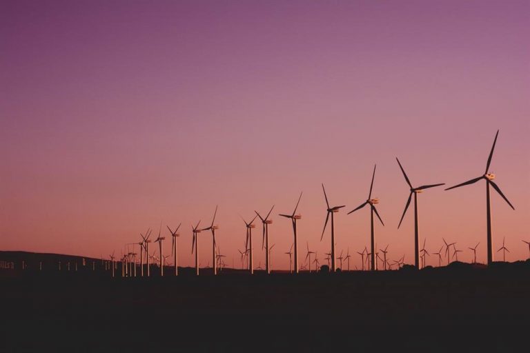 La UE puede lograr emisiones de carbono cero a un coste nulo en 2050 y crear así 5 millones de empleos, según McKinsey