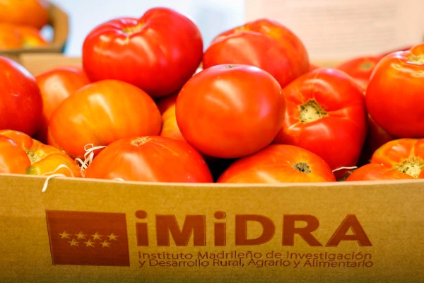 primera edición con propuestas culinarias