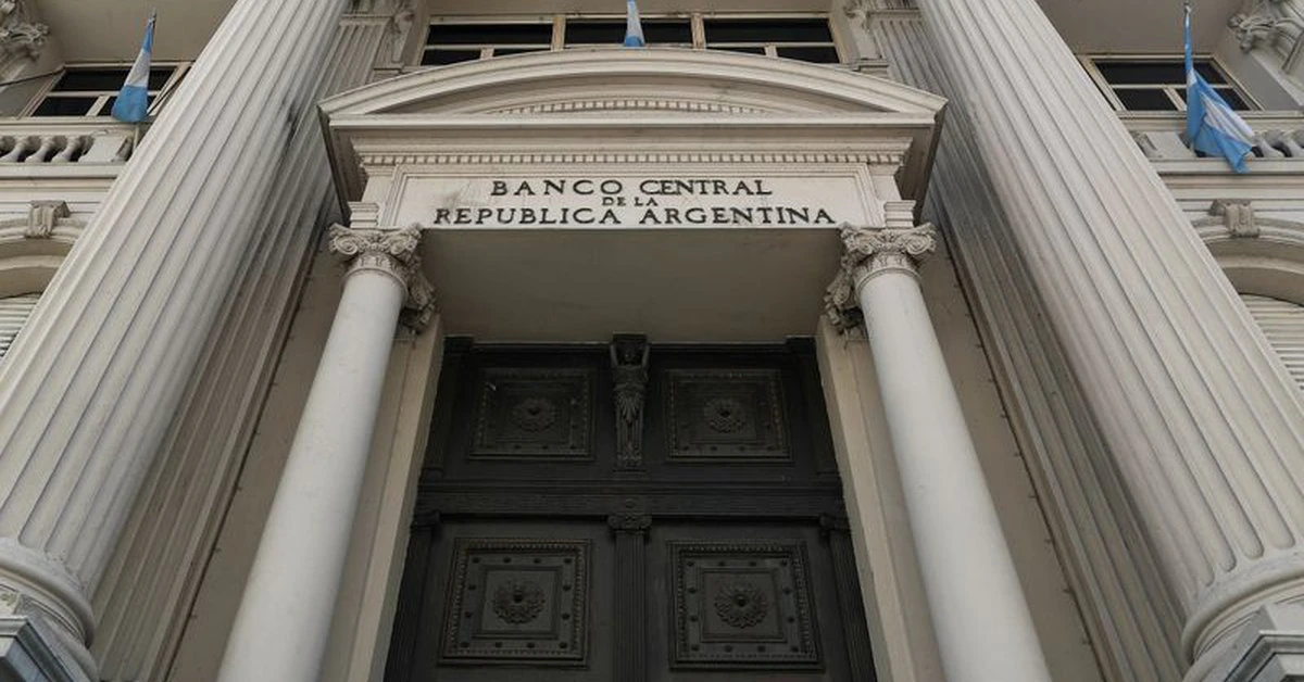 Banco central argentino compra dólares por liquidación de granos y escasa demanda de importadores: operadores