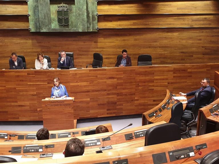 Vallina (IU) pide a Espina «capacidad de diálogo y acuerdo con toda la comunidad educativa»