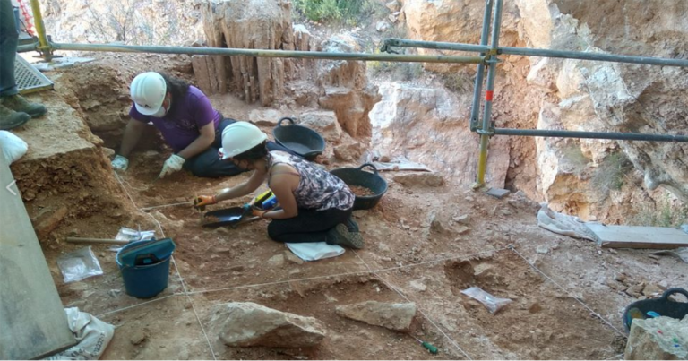 Hallan parte de un esqueleto de lince ibérico de hace un millón de años