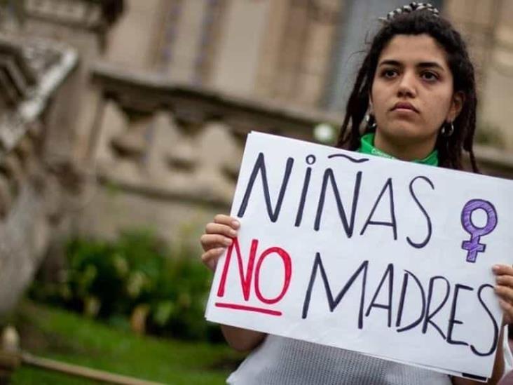 Organizaciones nacionales e internacionales respaldan interrupción legal del embarazo – El Observatorio del laicismo
