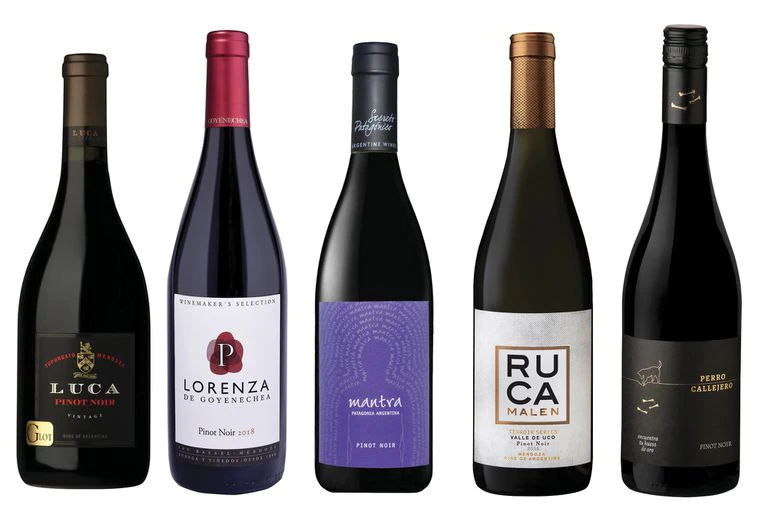 Vinos: qué etiquetas probar si querés conocer el Pinot Noir