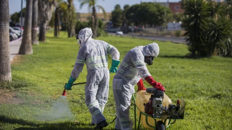 Ingresada en un hospital de Sevilla la primera persona contagiada este año con el virus del Nilo