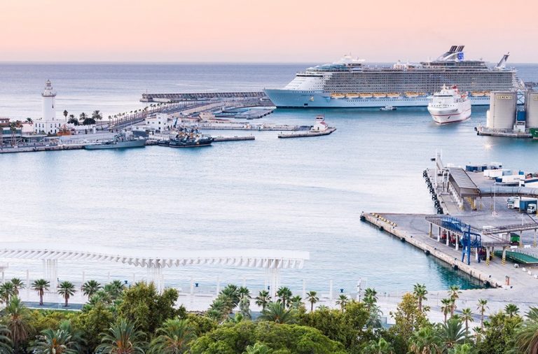 IU y Podemos valoran que Cultura rechace el hotel en el puerto de Málaga y espera que sirva para paralizar proyecto