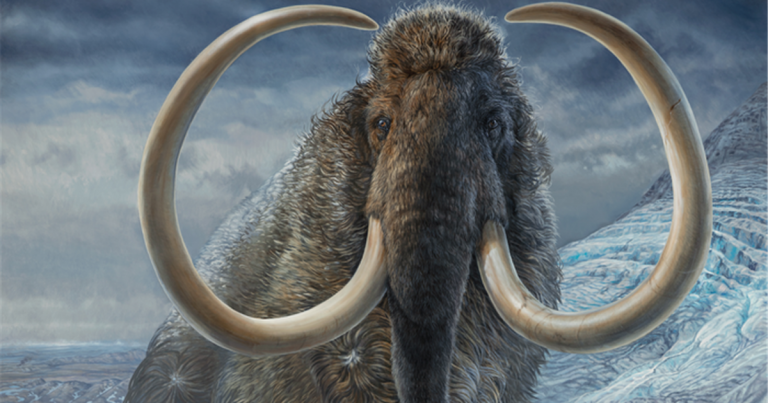 Consiguen reproducir el viaje de un mamut lanudo de hace 17.000 años