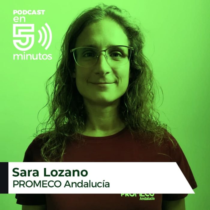 [AUDIO] Sara Lozano: «Que no nos reconozcan (MECO) nos perjudica a nosotr@s y a las familias»