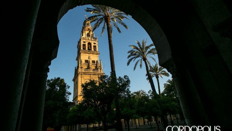La última sentencia del Algarrobico marca el futuro de la reposición de la celosía en la Mezquita de Córdoba – El Observatorio del laicismo