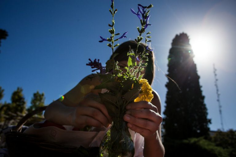 Ecología Política Feminista, más allá de los nexos conocidos entre cambio climático y género – Resonancias
