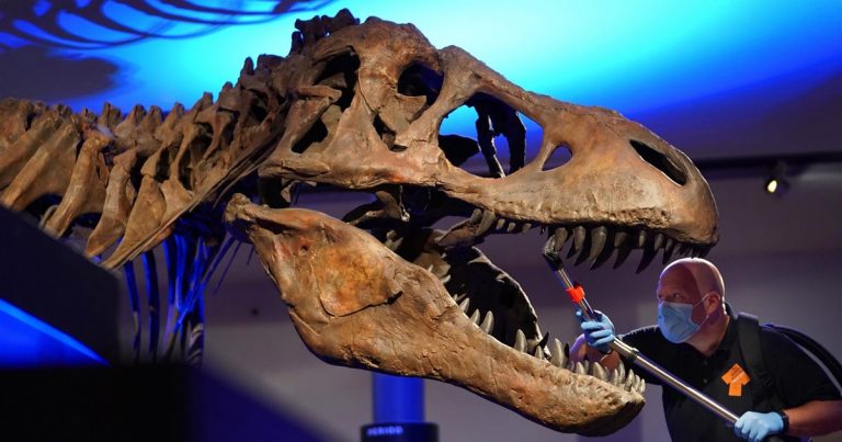 Las plumas de los dinosaurios podrían haber surgido para evitar comportamientos sexuales agresivos