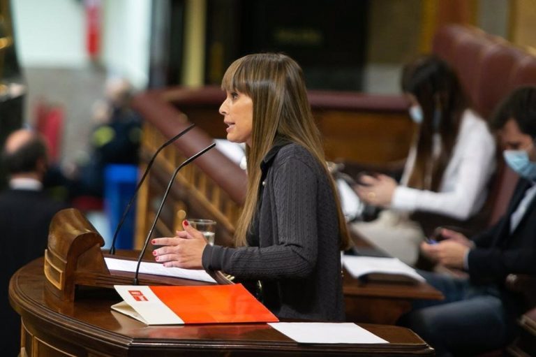 El PSOE asegura que la nueva Ley de Vivienda se aprobará dentro de un año