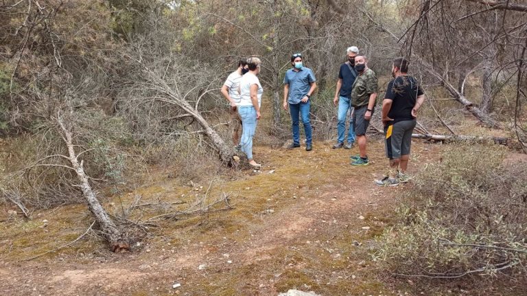 UP Sevilla reclama a la Junta actuaciones en los pinares de Badolatosa y Corcoya y dinamizar la zona