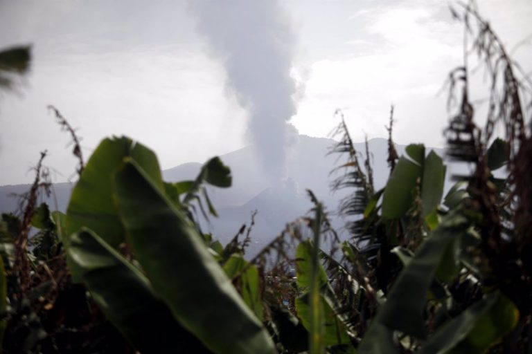 IU defenderá en Europa un «apoyo extra» más allá de los fondos existentes para ayudar a los afectados por la erupción