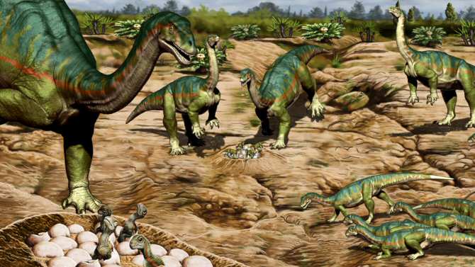Conducta social compleja en los primeros dinosaurios