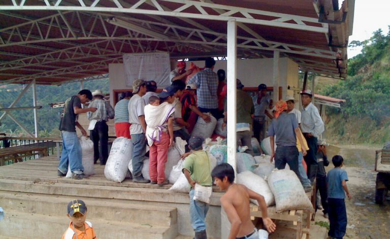 rasgo permanente en el trabajo agrícola migrante – Resonancias