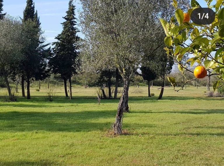 Comienzan las obras de ampliación del Parque de las Marismas de Los Palacios (Sevilla), que tendrá casi cuatro hectáreas