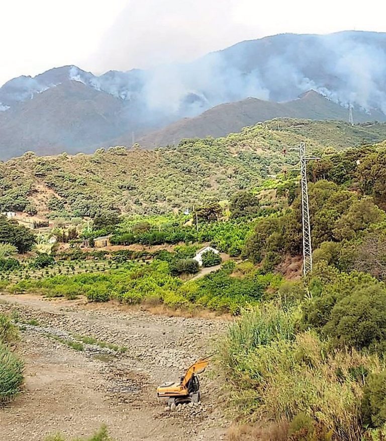 Unidas Podemos reclamará en Diputación de Málaga que se elimine el tendido eléctrico aéreo que atraviesa Sierra Bermeja