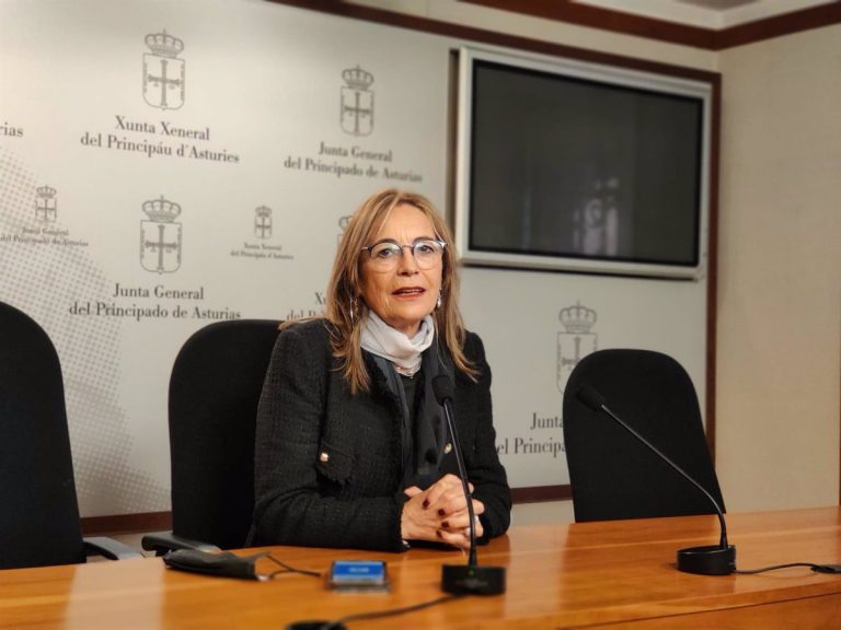 Vallina (IU) ve «poca concreción» en el discurso del presidente y pide que se centre en los retos por delante