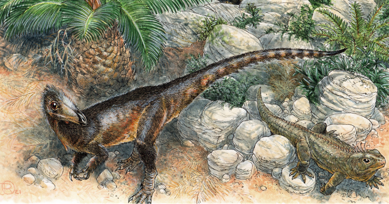Descrito el dinosaurio carnívoro más antiguo del Reino Unido