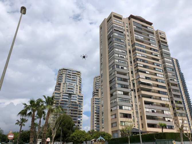 ¿Una araña urbana? | Noticias de la Ciencia y la Tecnología (Amazings® / NCYT®)
