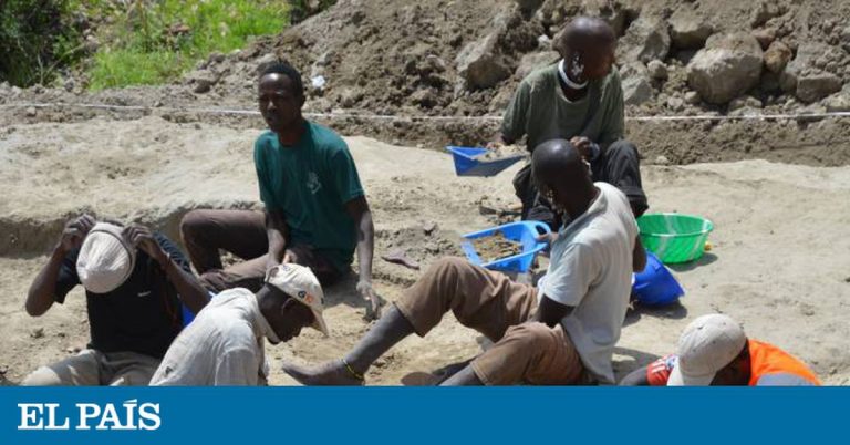 Ingenieros de hace 1,8 millones de años | Ciencia