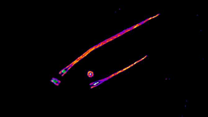 Centríolos y microcefalia | Noticias de la Ciencia y la Tecnología (Amazings® / NCYT®)