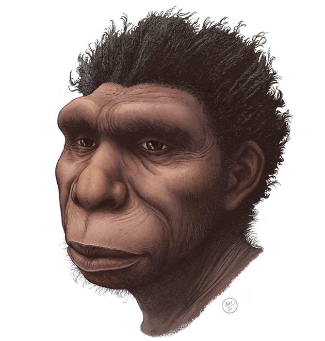 El Homo bodoensis, un antepasado nuestro hasta ahora desconocido