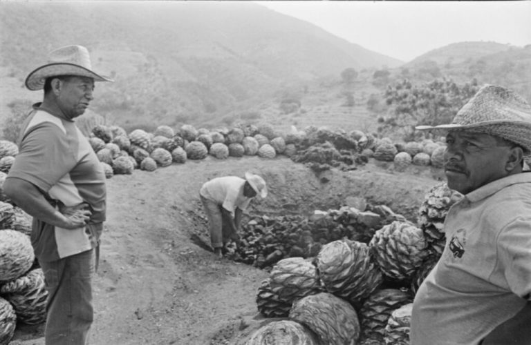 algunas reflexiones sobre las Denominaciones de Origen en México – Resonancias