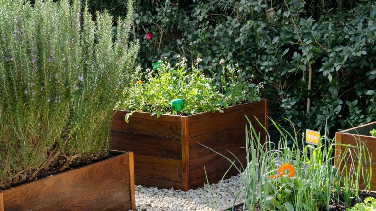 5 ideas para llevar diseño a la huerta