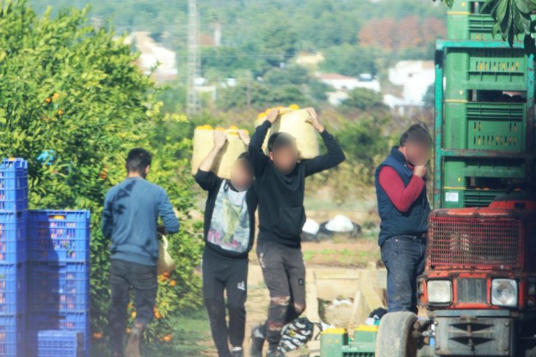 Los mil esclavos de la naranja | España
