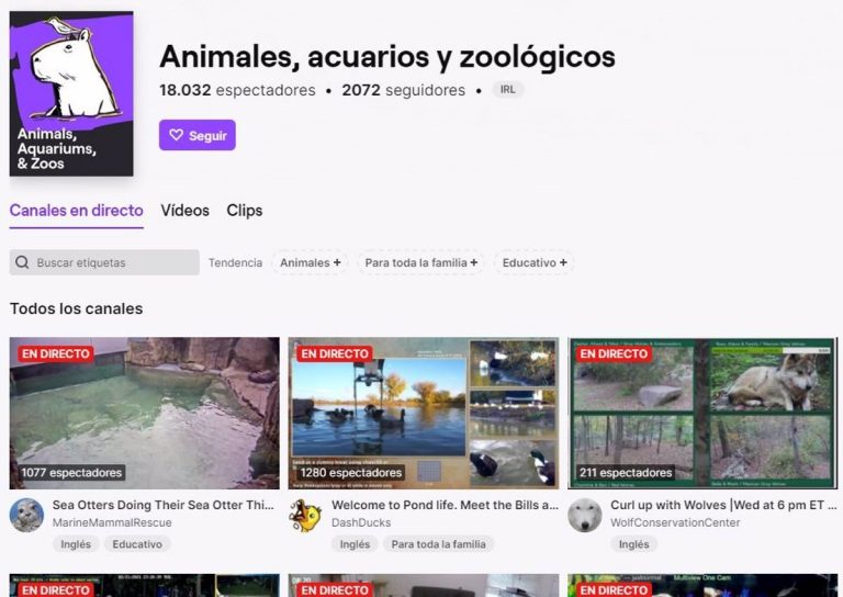 Twitch unifica los vídeos en directo de animales