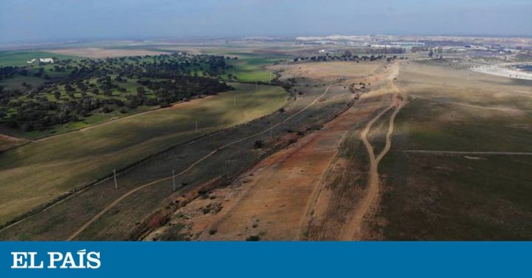 Gusanos, microbios y desechos que resucitan suelos | Ciencia