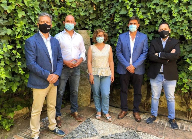 IU llevará al Pleno de la Diputación de Córdoba la «reivindicación» de la Campiña Sur por un «área sanitaria propia»