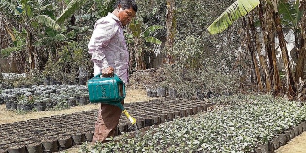 Emprende con un vivero | La Prensa Gráfica