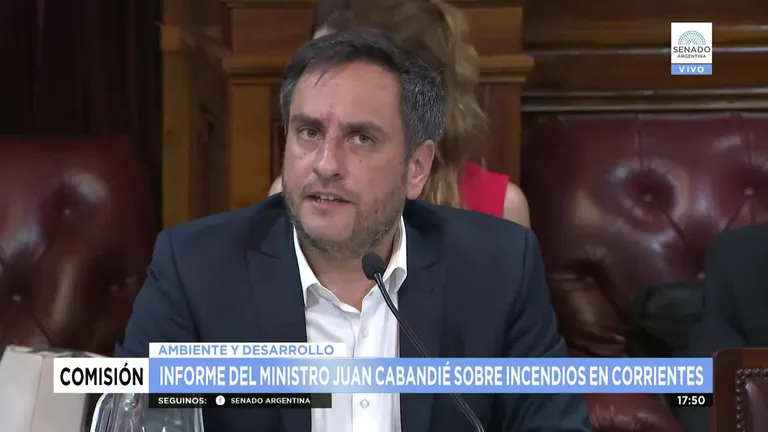 Juan Cabandié expone en el Senado por el manejo de los incendios en Corrientes, en medio de las críticas de la oposición y el propio oficialismo